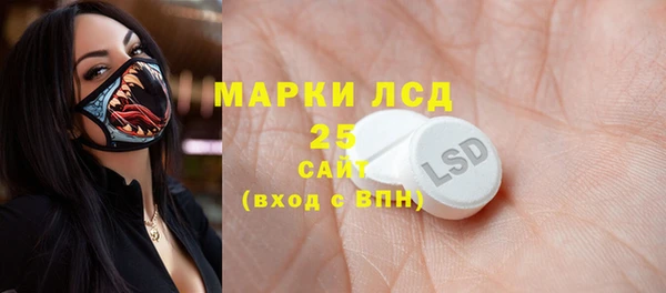 крисы Новодвинск