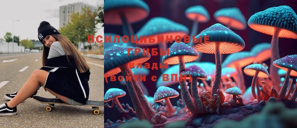 крисы Новодвинск
