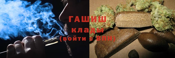крисы Новодвинск